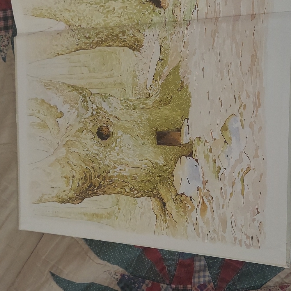 The Big Peter Rabbit Book - Picture 3 of 16